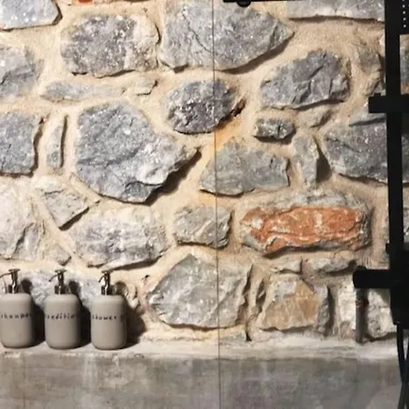 Zen In Mani