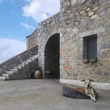 Zen In Mani Lagia